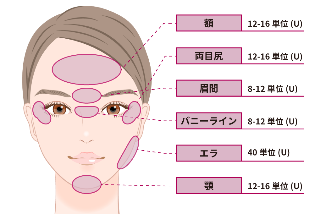 ＊部位と単位数は参考値です。必要量は個人差があるためこの限りではございません。