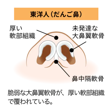 様々な鼻のお悩み～治療法も解説します！