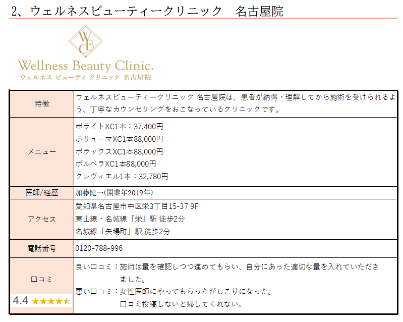 名古屋でおすすめ！！ヒアルロン酸注入を受けることができるクリニック6選